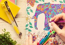person coloring an elephant with many pen colors