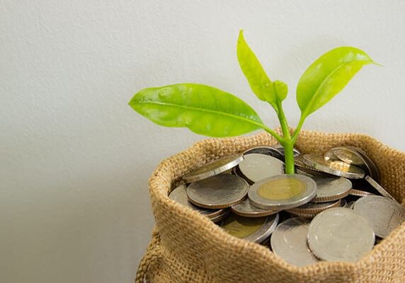plant sprouting in a money bag indicating financial success